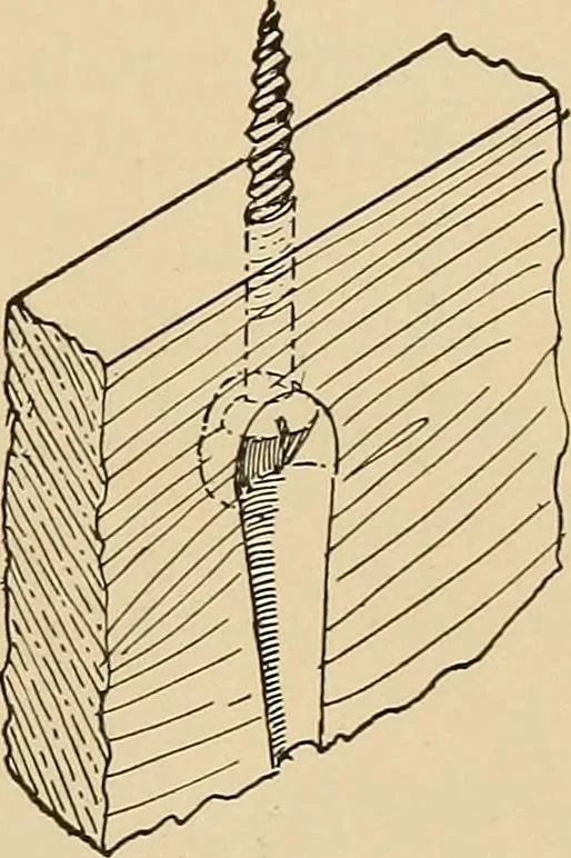 An illustration from Woodworking for beginners; a manual for amateurs, 1900, leaf 220