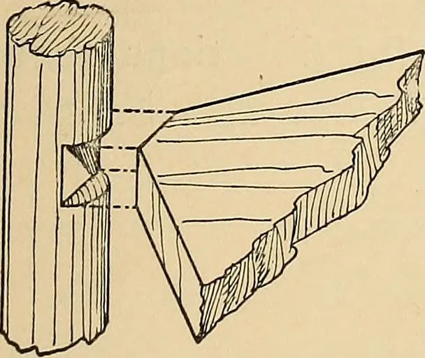 An illustration from Woodworking for beginners; a manual for amateurs, 1900, leaf 224