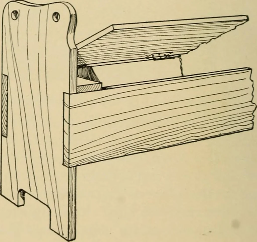 An illustration from Woodworking for beginners; a manual for amateurs, 1900, leaf 229