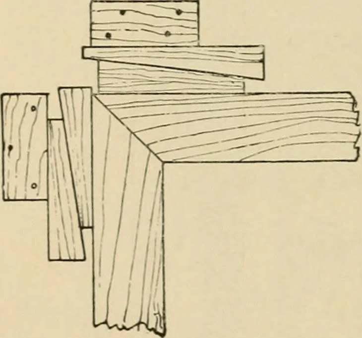 An illustration from Woodworking for beginners; a manual for amateurs, 1900, leaf 231