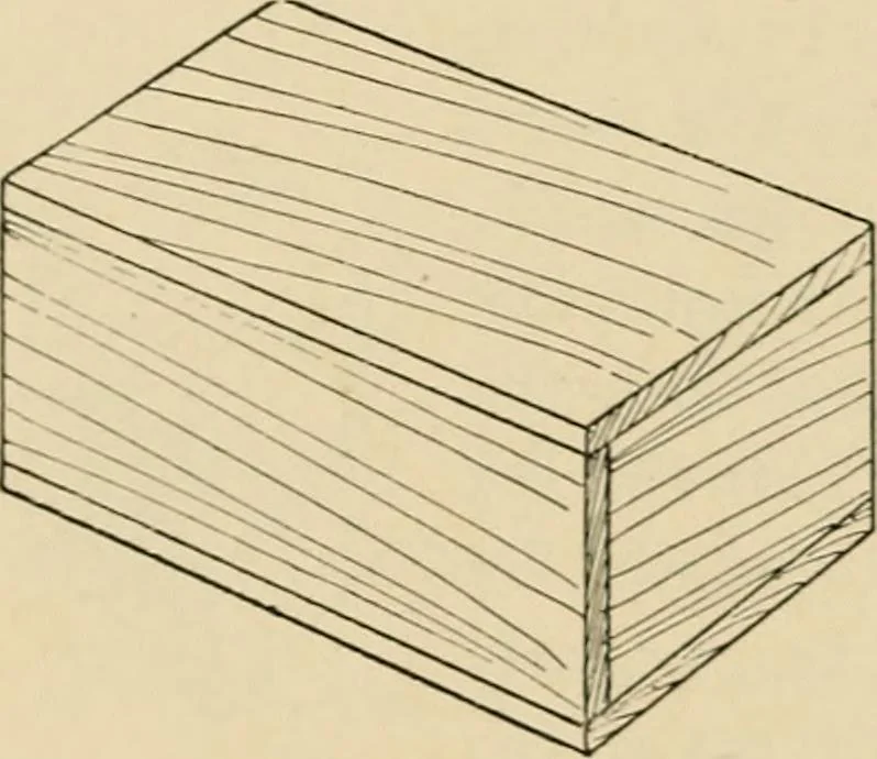 An illustration from Woodworking for beginners; a manual for amateurs, 1900, leaf 235