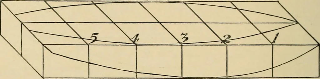 An illustration from Woodworking for beginners; a manual for amateurs, 1900, leaf 245