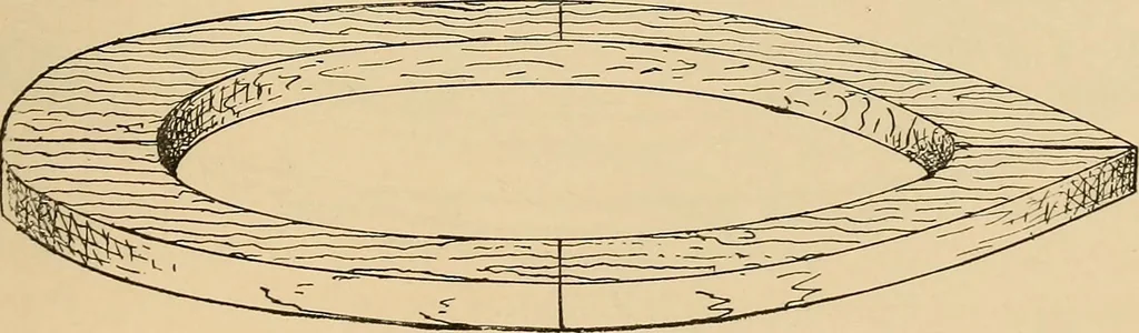 An illustration from Woodworking for beginners; a manual for amateurs, 1900, leaf 248