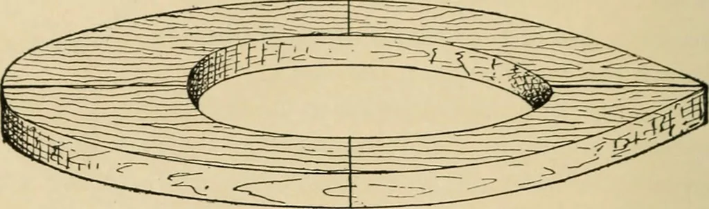 An illustration from Woodworking for beginners; a manual for amateurs, 1900, leaf 249