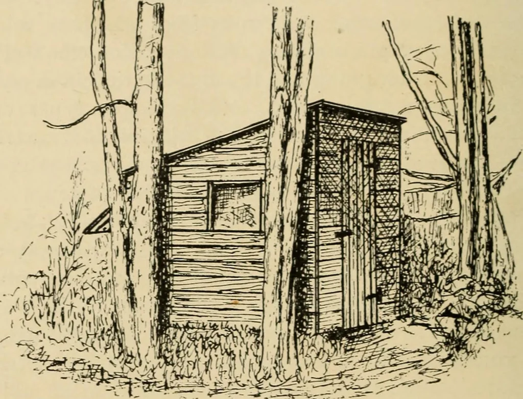 An illustration from Woodworking for beginners; a manual for amateurs, 1900, leaf 257
