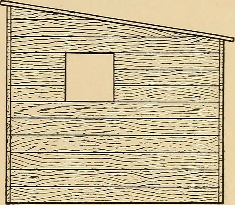 An illustration from Woodworking for beginners; a manual for amateurs, 1900, leaf 258
