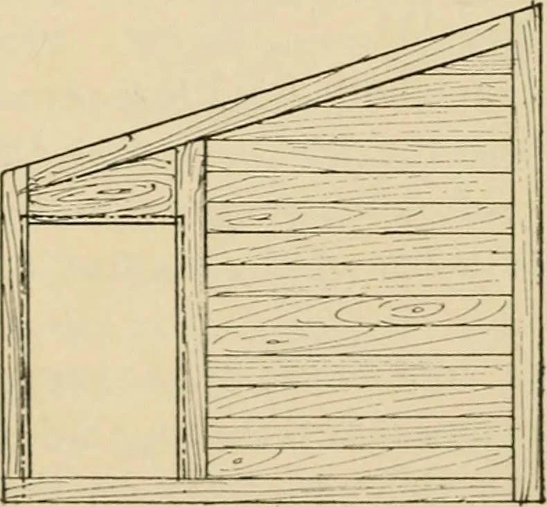 An illustration from Woodworking for beginners; a manual for amateurs, 1900, leaf 263