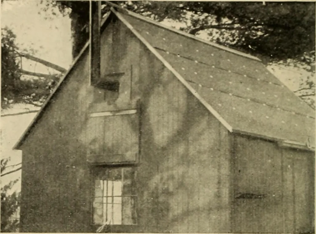 An illustration from Woodworking for beginners; a manual for amateurs, 1900, leaf 273