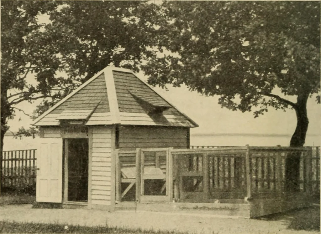 An illustration from Woodworking for beginners; a manual for amateurs, 1900, leaf 291