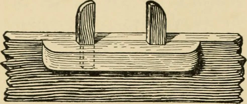 An illustration from Woodworking for beginners; a manual for amateurs, 1900, leaf 317
