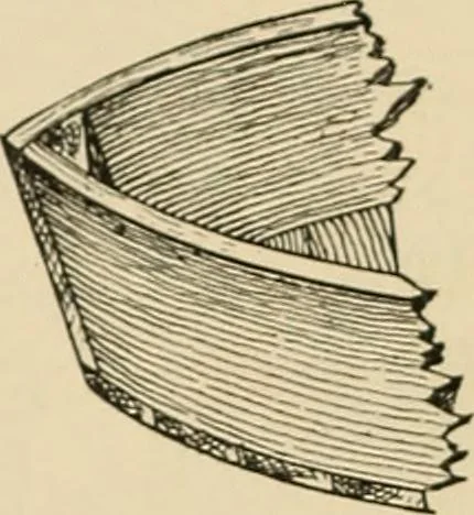 An illustration from Woodworking for beginners; a manual for amateurs, 1900, leaf 325