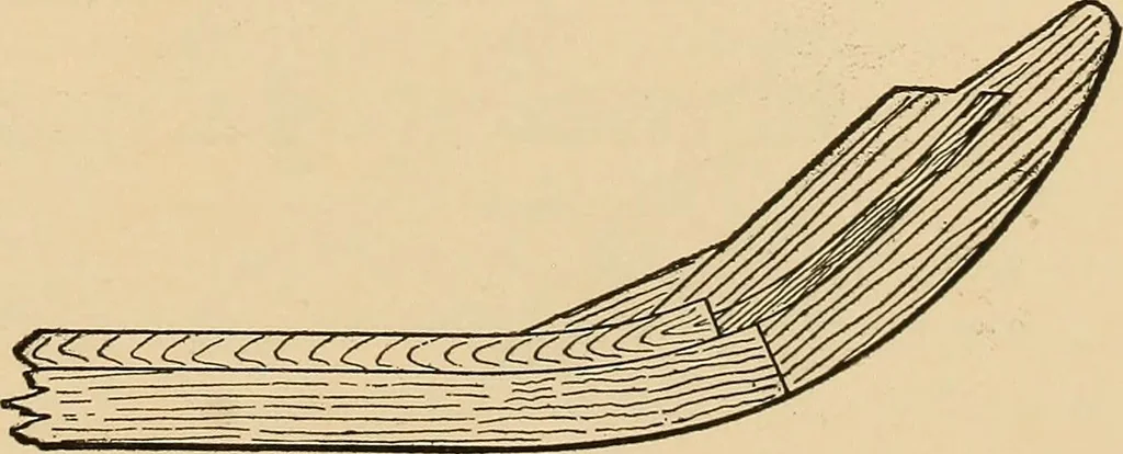 An illustration from Woodworking for beginners; a manual for amateurs, 1900, leaf 338