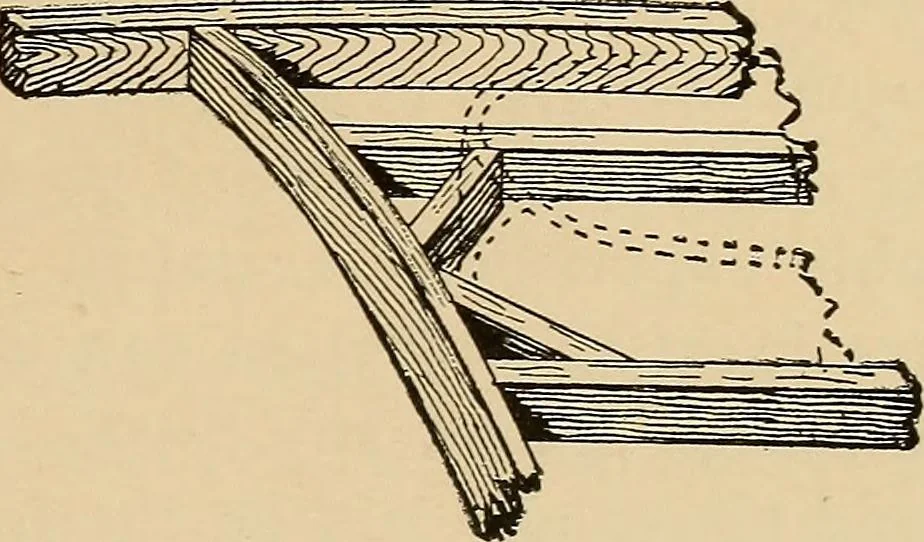 An illustration from Woodworking for beginners; a manual for amateurs, 1900, leaf 340