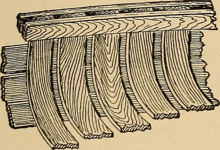 An illustration from Woodworking for beginners; a manual for amateurs, 1900, leaf 340