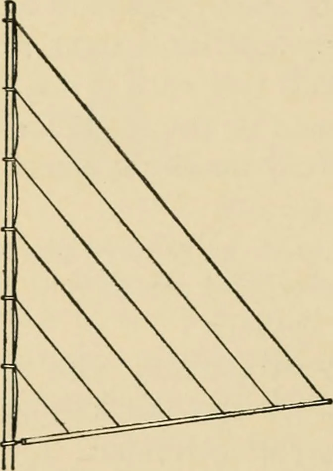 An illustration from Woodworking for beginners; a manual for amateurs, 1900, leaf 347