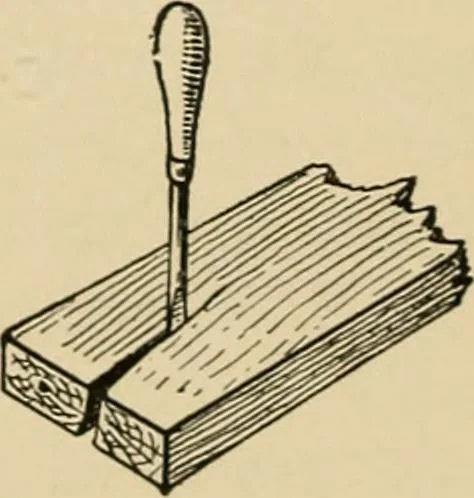 An illustration from Woodworking for beginners; a manual for amateurs, 1900, leaf 359