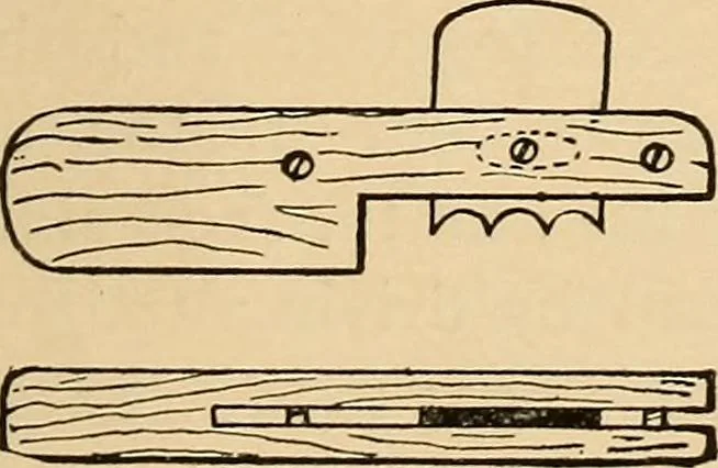 An illustration from Woodworking for beginners; a manual for amateurs, 1900, leaf 360