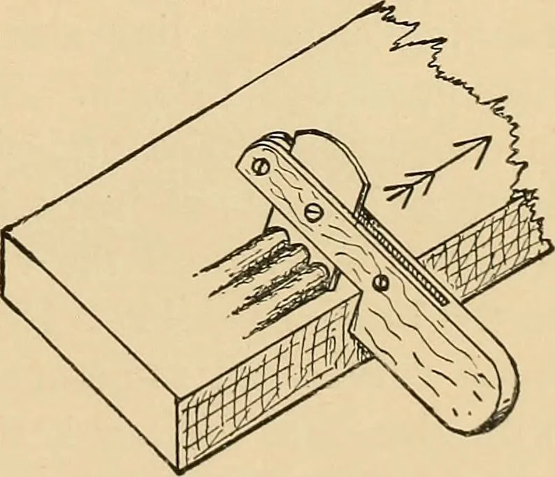 An illustration from Woodworking for beginners; a manual for amateurs, 1900, leaf 360