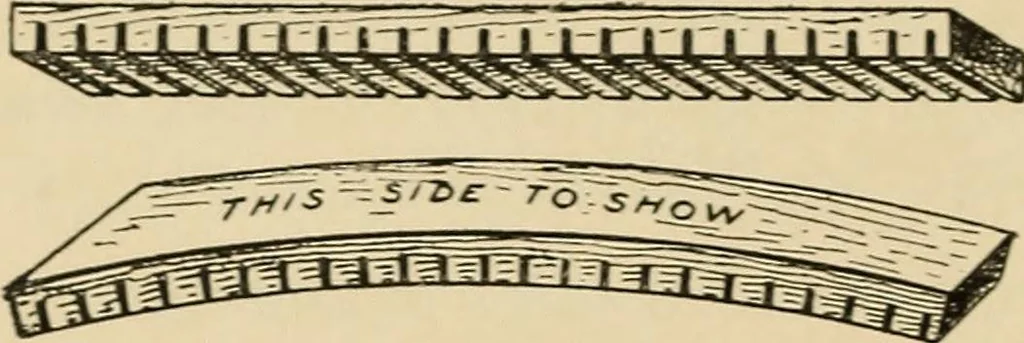 An illustration from Woodworking for beginners; a manual for amateurs, 1900, leaf 361