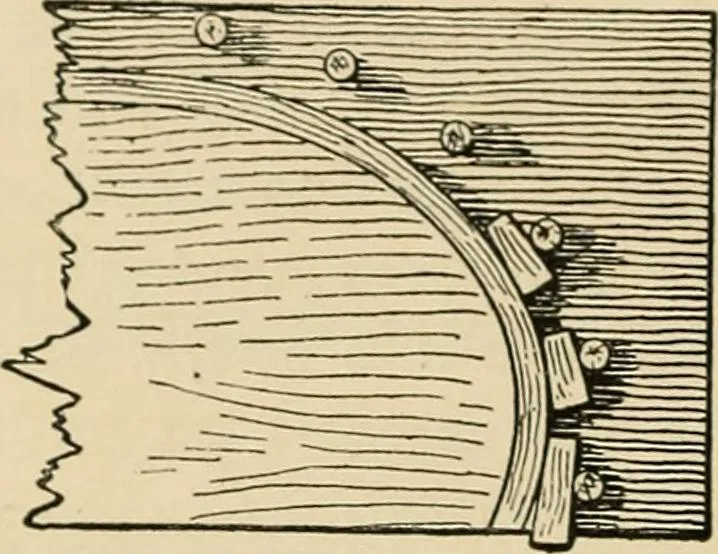 An illustration from Woodworking for beginners; a manual for amateurs, 1900, leaf 363
