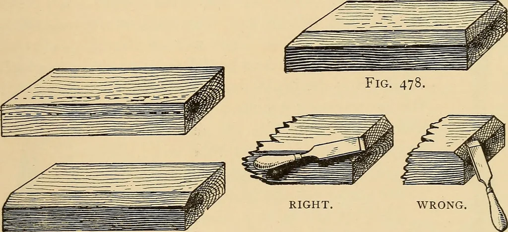 An illustration from Woodworking for beginners; a manual for amateurs, 1900, leaf 366