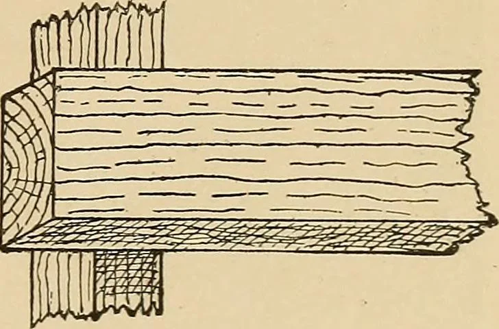 An illustration from Woodworking for beginners; a manual for amateurs, 1900, leaf 368