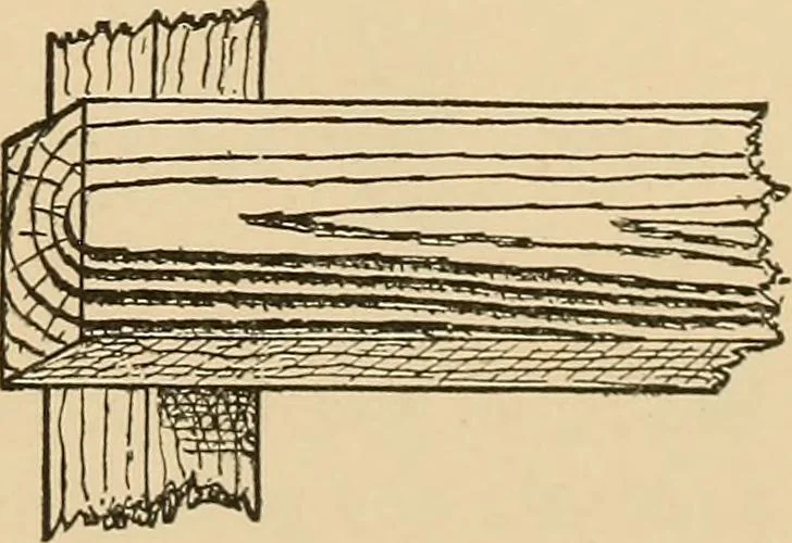 An illustration from Woodworking for beginners; a manual for amateurs, 1900, leaf 368