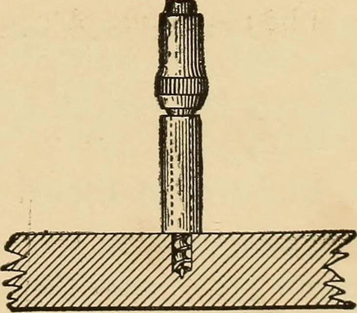 An illustration from Woodworking for beginners; a manual for amateurs, 1900, leaf 370