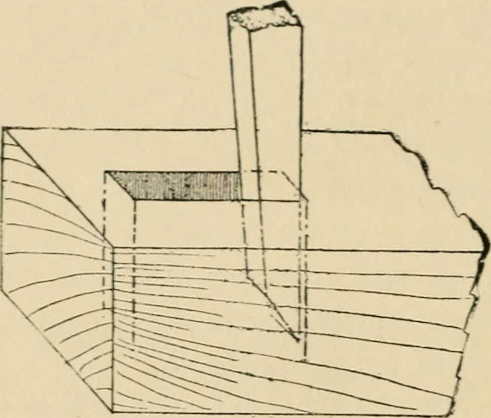 An illustration from Woodworking for beginners; a manual for amateurs, 1900, leaf 373