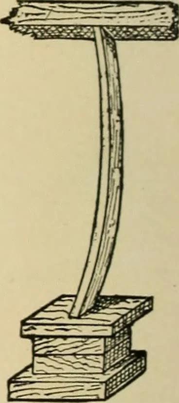 An illustration from Woodworking for beginners; a manual for amateurs, 1900, leaf 377