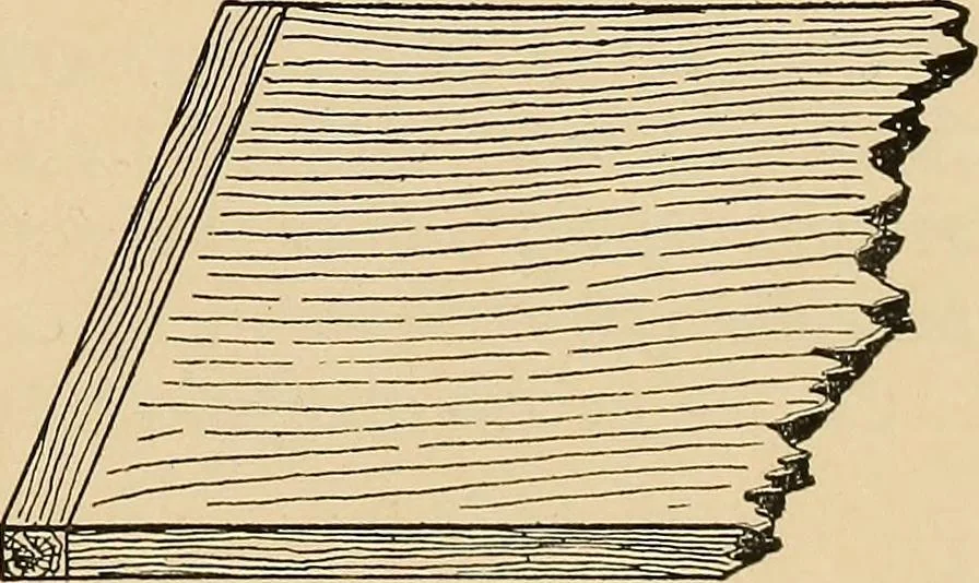 An illustration from Woodworking for beginners; a manual for amateurs, 1900, leaf 378