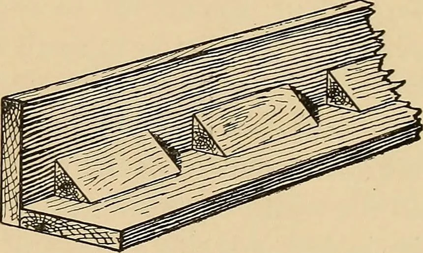 An illustration from Woodworking for beginners; a manual for amateurs, 1900, leaf 380