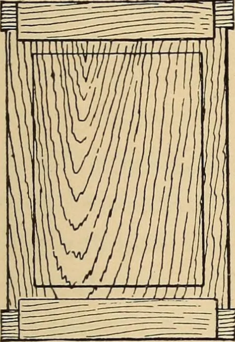An illustration from Woodworking for beginners; a manual for amateurs, 1900, leaf 386