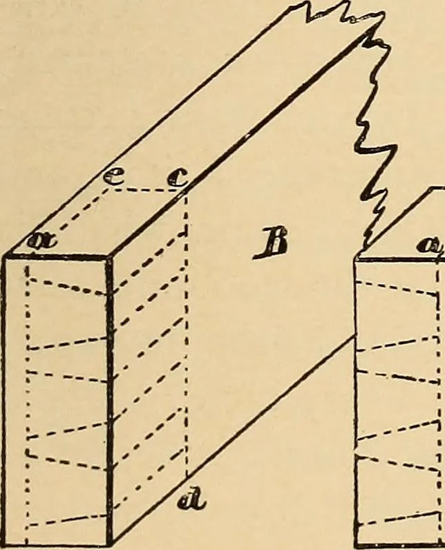 An illustration from Woodworking for beginners; a manual for amateurs, 1900, leaf 388