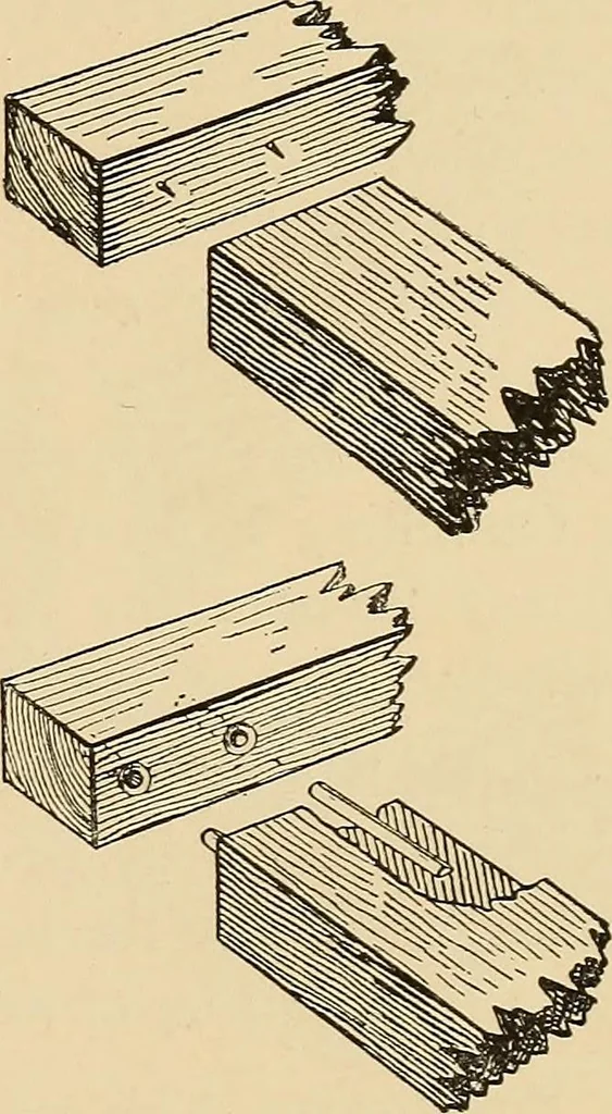 An illustration from Woodworking for beginners; a manual for amateurs, 1900, leaf 390
