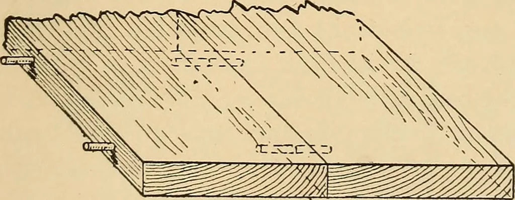 An illustration from Woodworking for beginners; a manual for amateurs, 1900, leaf 390