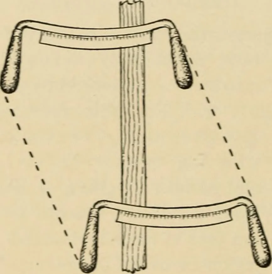 An illustration from Woodworking for beginners; a manual for amateurs, 1900, leaf 393