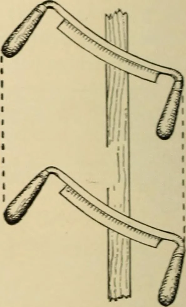 An illustration from Woodworking for beginners; a manual for amateurs, 1900, leaf 393
