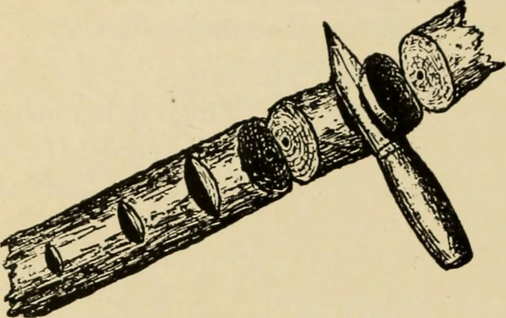 An illustration from Woodworking for beginners; a manual for amateurs, 1900, leaf 41