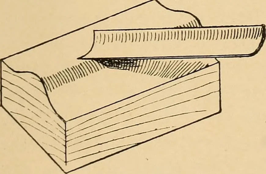 An illustration from Woodworking for beginners; a manual for amateurs, 1900, leaf 412