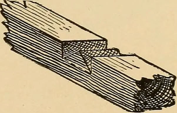 An illustration from Woodworking for beginners; a manual for amateurs, 1900, leaf 414