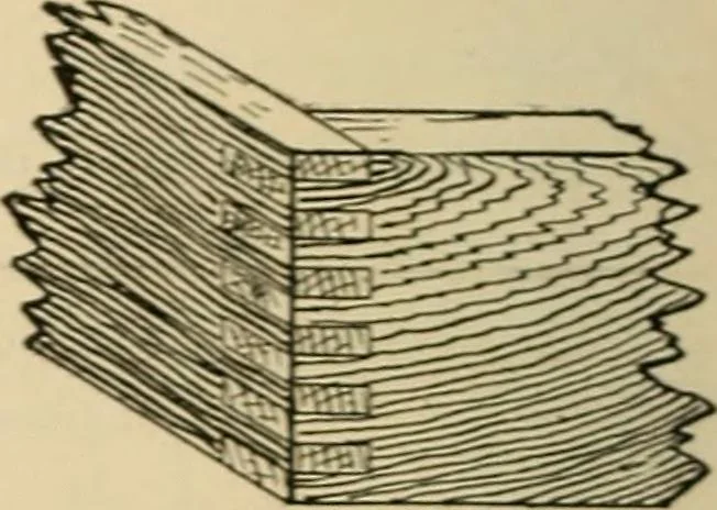 An illustration from Woodworking for beginners; a manual for amateurs, 1900, leaf 415