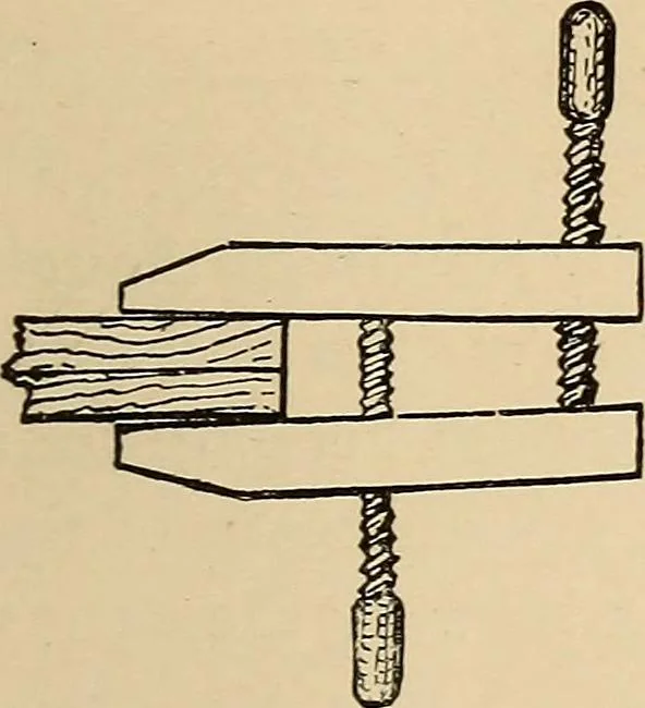 An illustration from Woodworking for beginners; a manual for amateurs, 1900, leaf 416