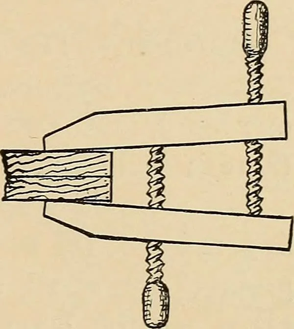 An illustration from Woodworking for beginners; a manual for amateurs, 1900, leaf 416