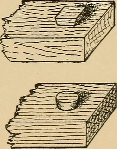An illustration from Woodworking for beginners; a manual for amateurs, 1900, leaf 418