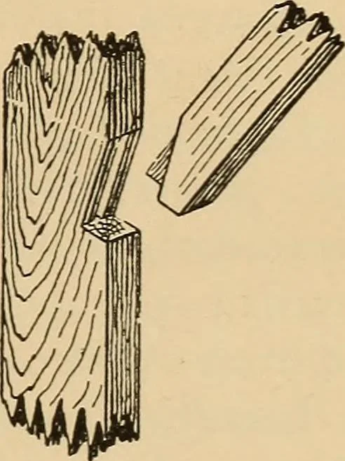 An illustration from Woodworking for beginners; a manual for amateurs, 1900, leaf 426