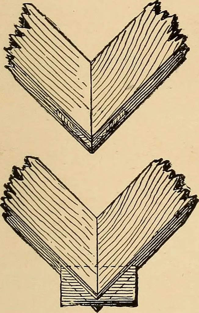 An illustration from Woodworking for beginners; a manual for amateurs, 1900, leaf 434