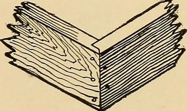An illustration from Woodworking for beginners; a manual for amateurs, 1900, leaf 434