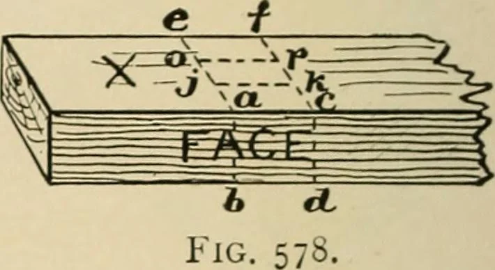 An illustration from Woodworking for beginners; a manual for amateurs, 1900, leaf 435