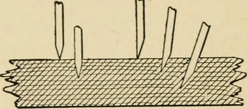 An illustration from Woodworking for beginners; a manual for amateurs, 1900, leaf 437